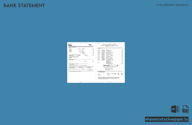 USA Pentagon Federal Credit Union (PenFed) Kontoauszug (Word-Format, 3 Seiten), Beispielvorschau